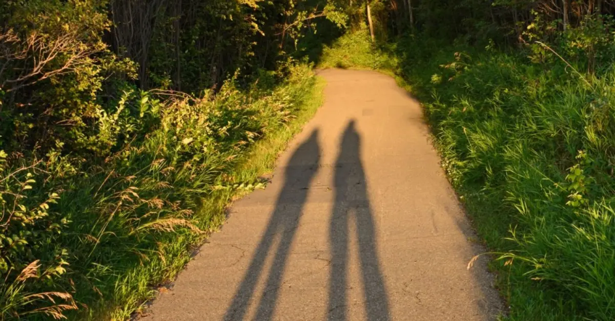 Beyond the Genetic Blueprint: Navigating Identity, Loss, and Attachment in Donor Conception