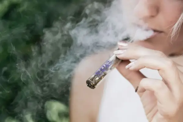 Beyond the Smoke: Navigating the Complex Realities, Modern Potency, and Hidden Risks of Contemporary Cannabis