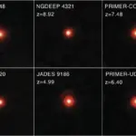 Echoes from the Cosmic Dawn: How the James Webb Space Telescope Unveiled the First "Black Hole Stars"