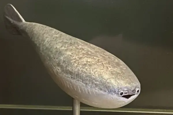 How an Extinct, Low-Poly Prehistoric Fish Conquered the Global Internet: The Rise of the Sacabambaspis Meme