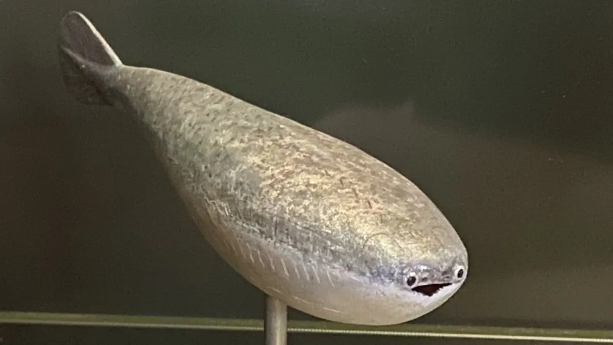 How an Extinct, Low-Poly Prehistoric Fish Conquered the Global Internet: The Rise of the Sacabambaspis Meme