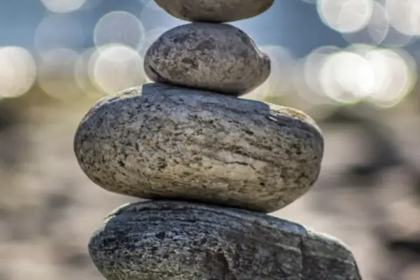 Mastering the Architecture of Resilience: Navigating Modern Stress and the Art of Adaptive Leadership