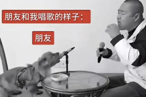 The Anatomy of a Digital Phenomenon: How the “Chinese Dog Singing” Meme Conquered Global Social Media
