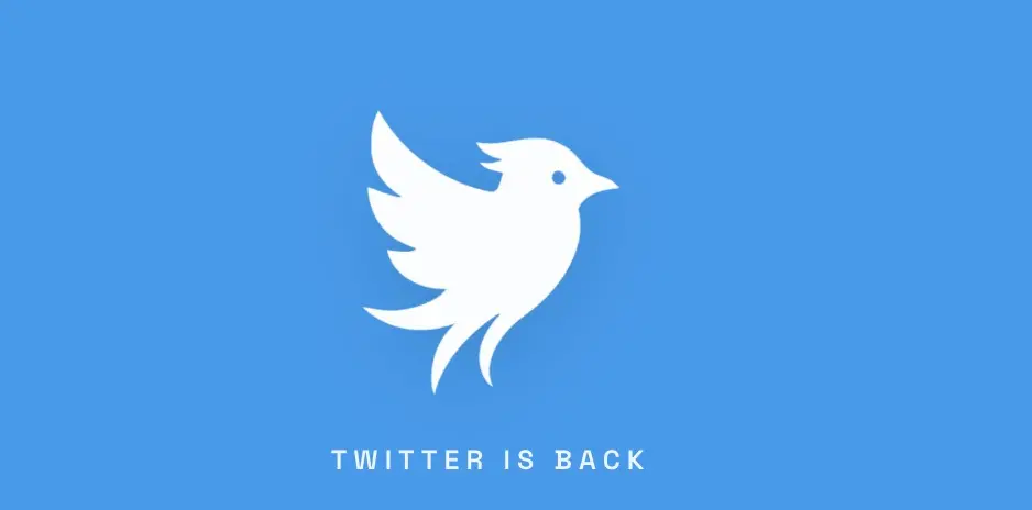The Battle for the Blue Bird: Inside the Legal and Technological War to Revive ‘Twitter’