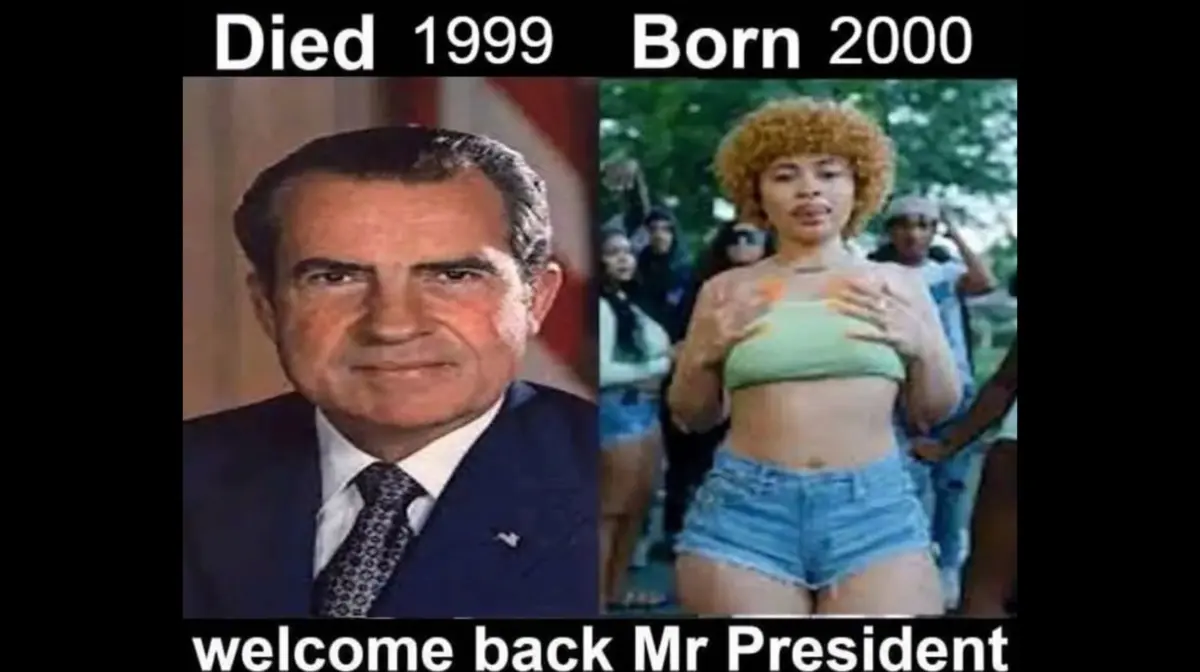 The Reincarnation Chronicles: How the "Died / Born / Welcome Back" Meme Conquered the Internet