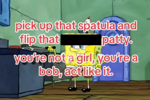 The Rise of "Forcebob": How a Surreal SpongeBob Parody Subverted Internet Kink Culture