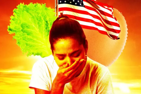 The Summer of Contagion: Inside America’s Unprecedented 2026 Food Safety Crisis