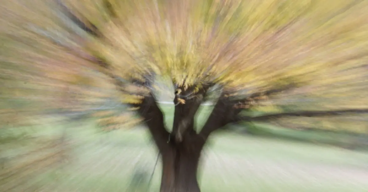 The Threshold of Transformation: Decoding the Science, Myth, and Psychology of Autumn