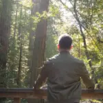Beyond the Blueprint: Why Intellectualizing Your Inner World Isn’t Enough to Heal
