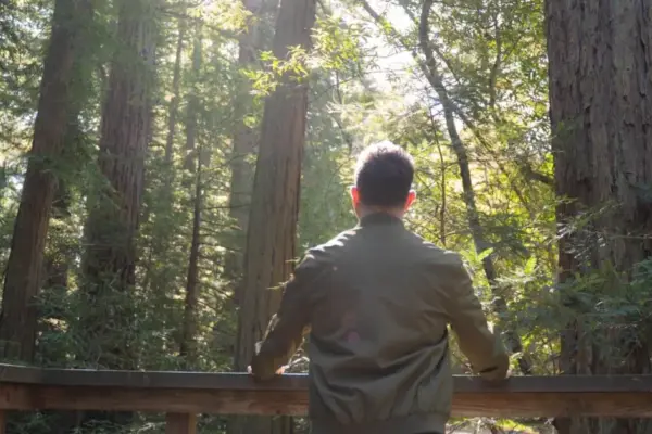 Beyond the Blueprint: Why Intellectualizing Your Inner World Isn’t Enough to Heal