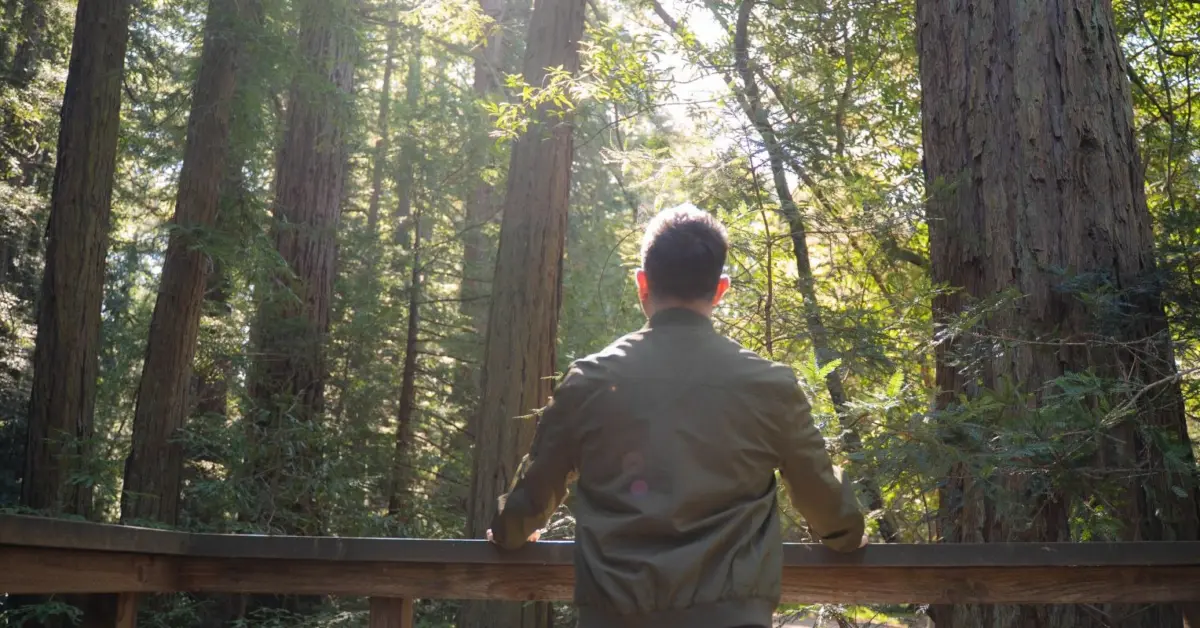 Beyond the Blueprint: Why Intellectualizing Your Inner World Isn’t Enough to Heal
