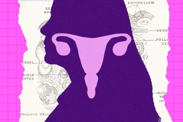 Beyond the "Empty Sack": How Science Is Rewriting the Story of the Postmenopausal Ovary