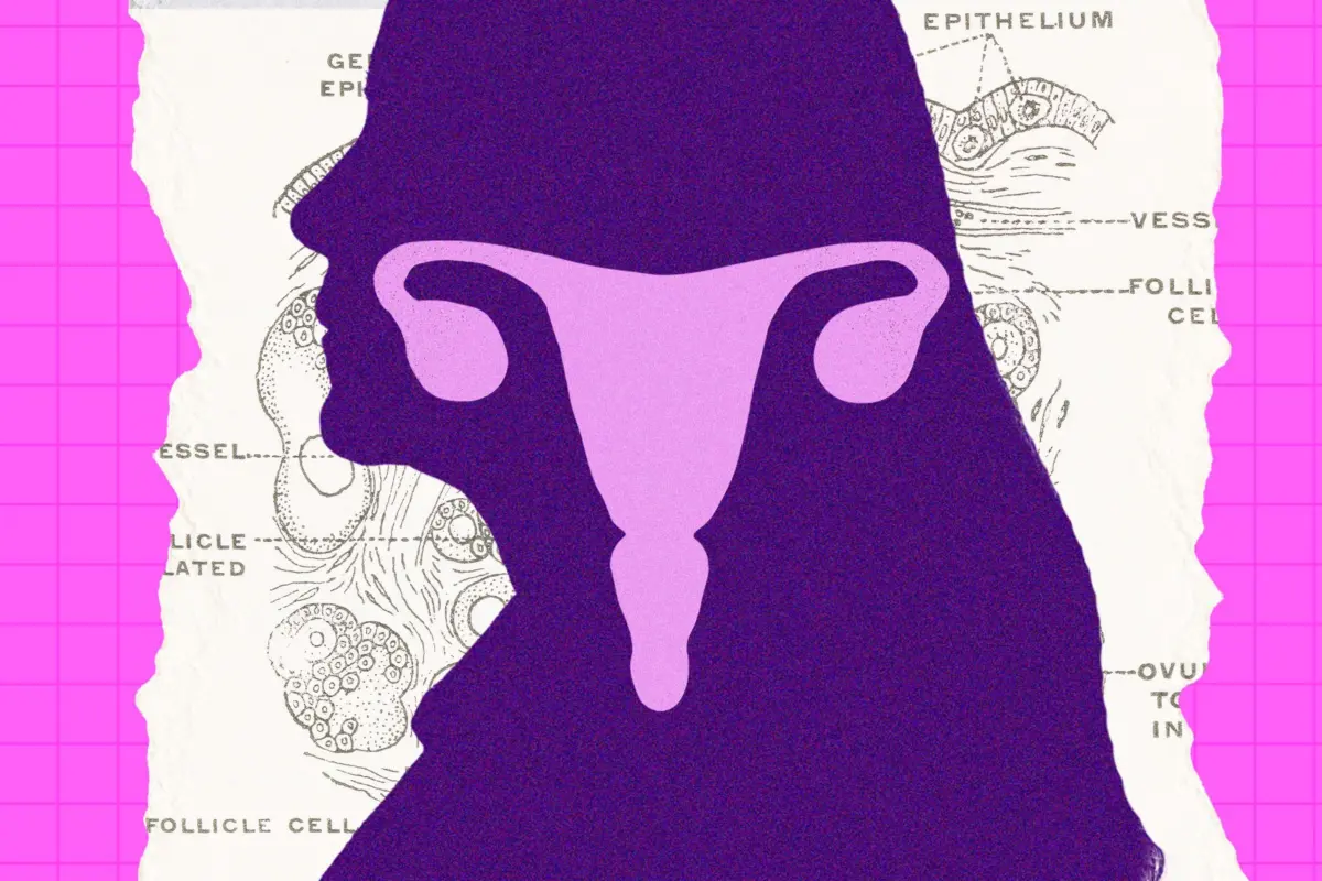 Beyond the "Empty Sack": How Science Is Rewriting the Story of the Postmenopausal Ovary
