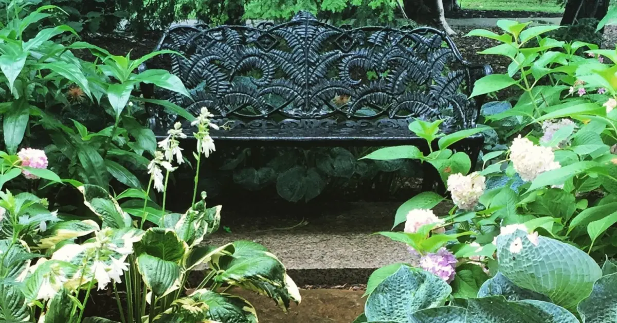 Navigating the Paradox of Safety: How Chronic Illness Survivors Can Move Beyond Survival Mode