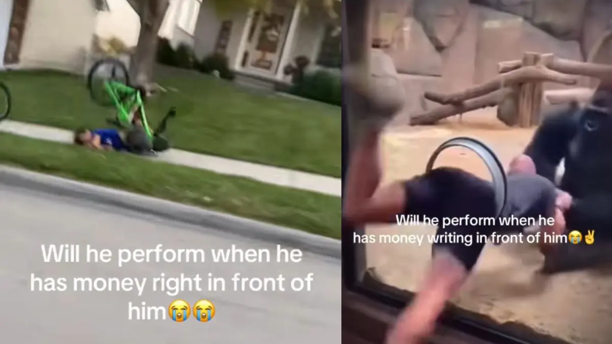 The Anatomy of a Viral Collapse: Inside the TikTok Phenomenon of the "Will He Perform When He Has Money Right In Front of Him" Meme