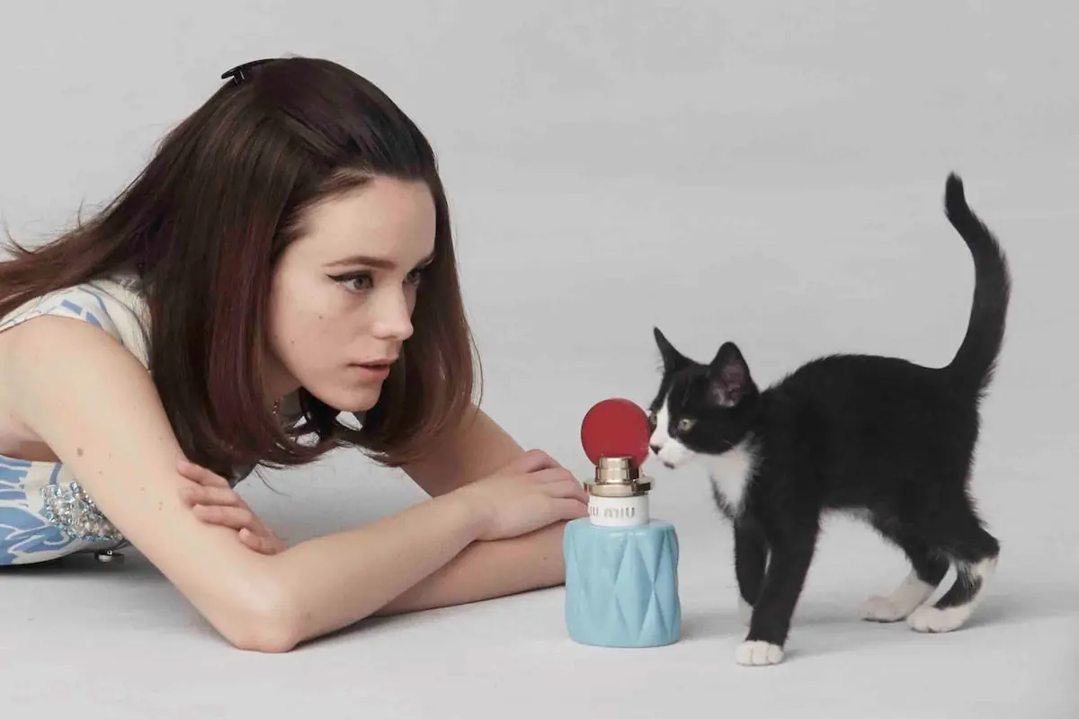 The Architecture of Illusion: How "Fantasy Notes" Are Redefining Modern Perfumery