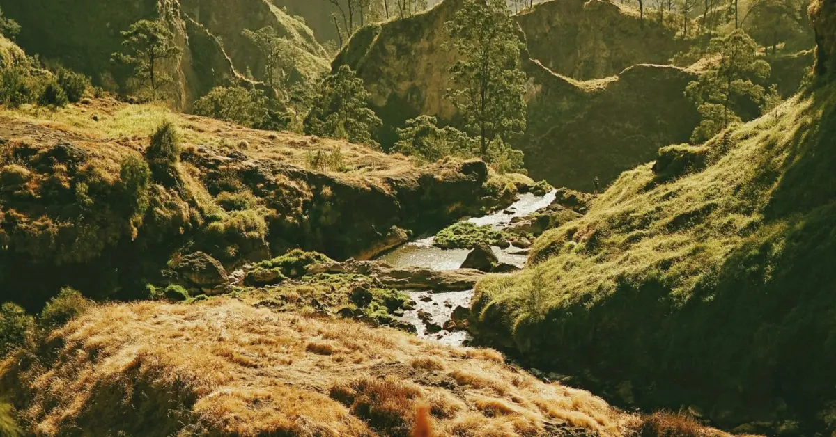 The Architecture of Interdependence: Why We Forget What Sustains Us—And How We Can Remember