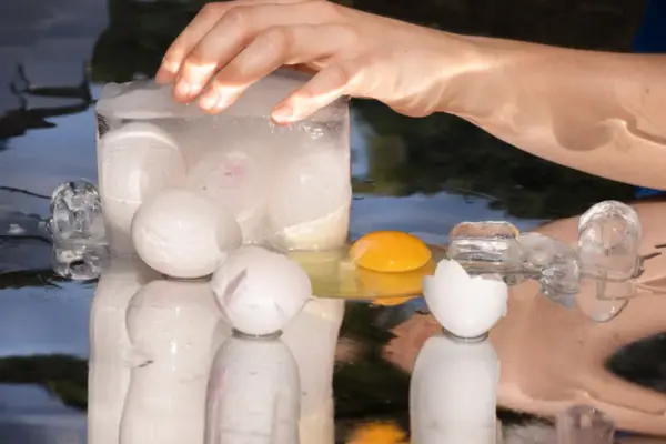 The High-Stakes Gamete Trade: Inside the Booming Business of "Free" Egg Freezing