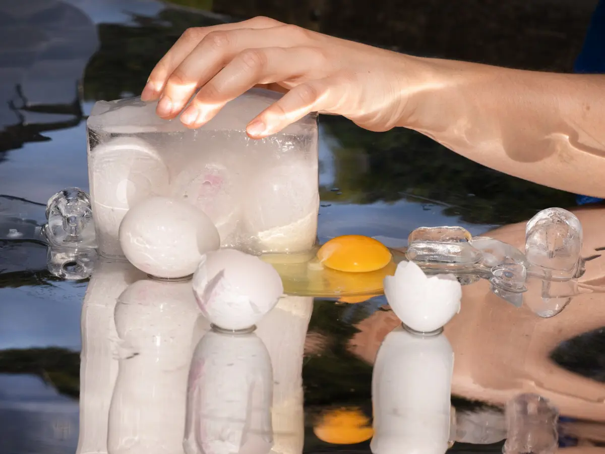 The High-Stakes Gamete Trade: Inside the Booming Business of "Free" Egg Freezing