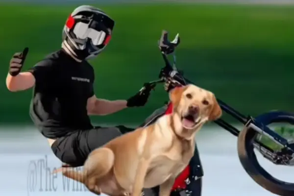 The "Oh, No, No, No" E-Bike Phenomenon: How a YouTuber’s Panic Became TikTok’s Latest Viral Audio Obsession