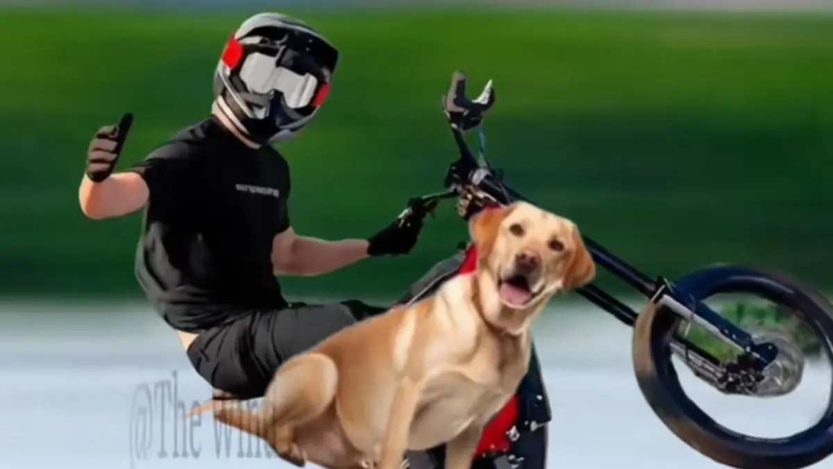 The "Oh, No, No, No" E-Bike Phenomenon: How a YouTuber’s Panic Became TikTok’s Latest Viral Audio Obsession