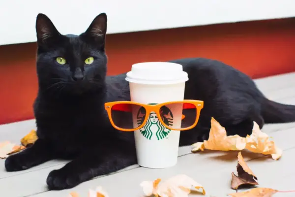 The Pumpkin Spice Industrial Complex: How a Syrupy Brew Became a Battleground for Capitalism, Class, and Culture