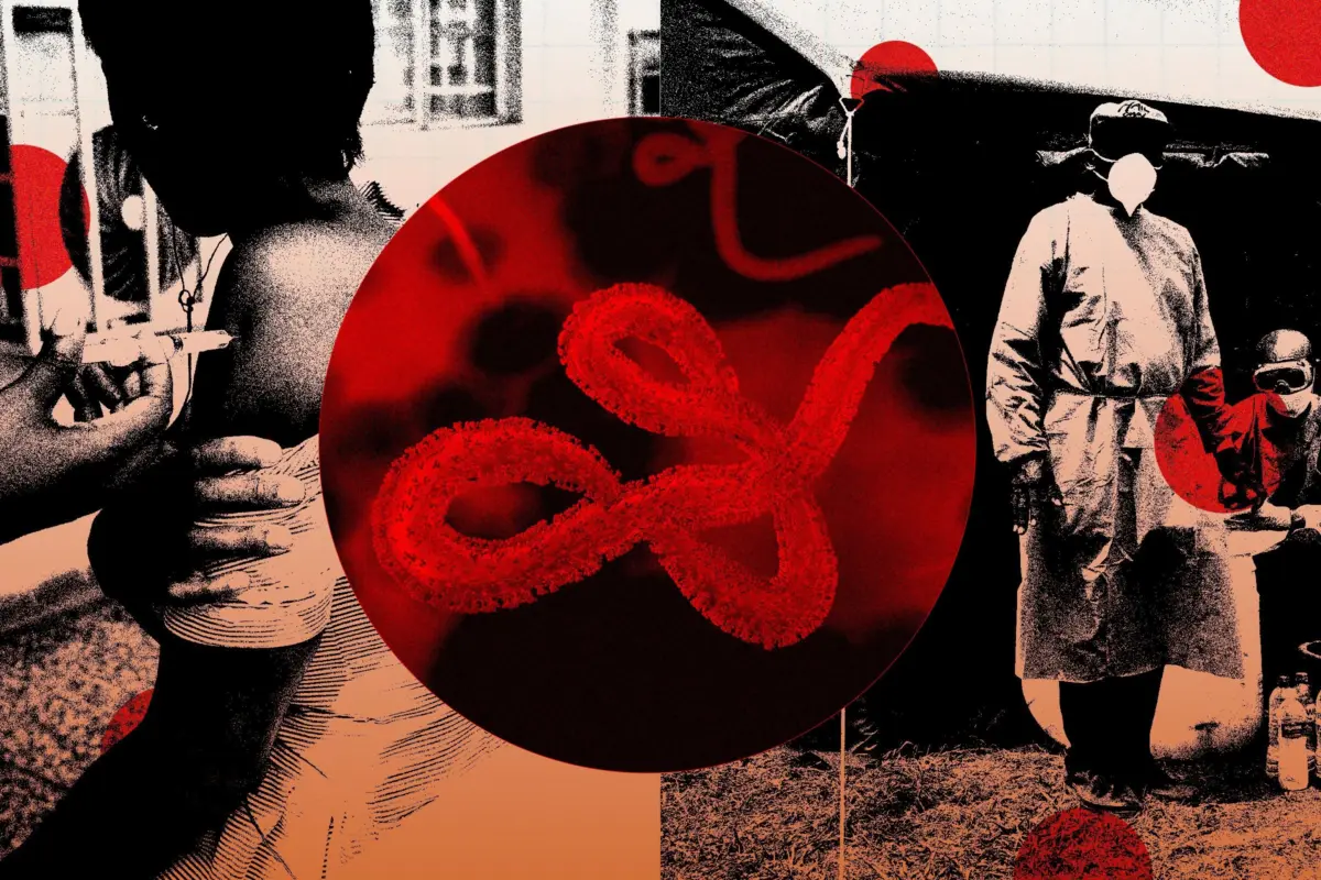 The Shadow of the Bundibugyo Strain: How the DRC Ebola Crisis Became a Global Health Emergency