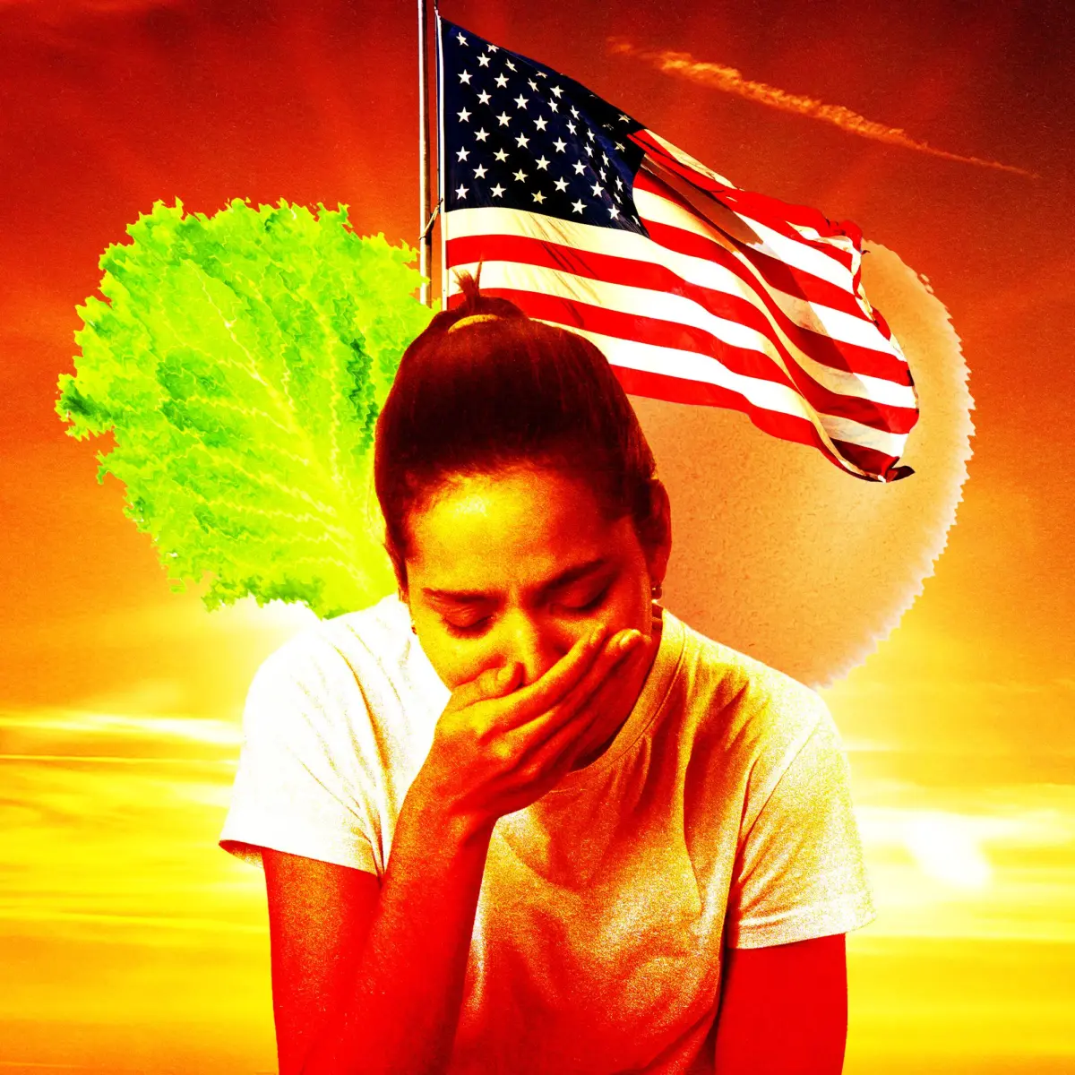 The Summer of Sickness: Inside America’s Unprecedented 2026 Food Safety Crisis