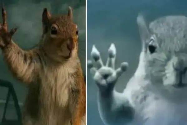 The "Tornado Squirrel" Phenomenon: How a Cinematic Parody and a CGI Rodent Captured the Internet’s Obsession with Defeat