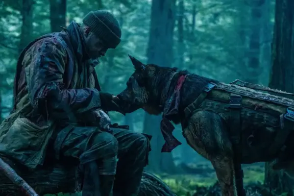 Unleashing Resilience: How Brad Pitt, a Combat-Vet Canine, and Director David Ayer Redefined the Wilderness Survival Genre in Heart of the Beast