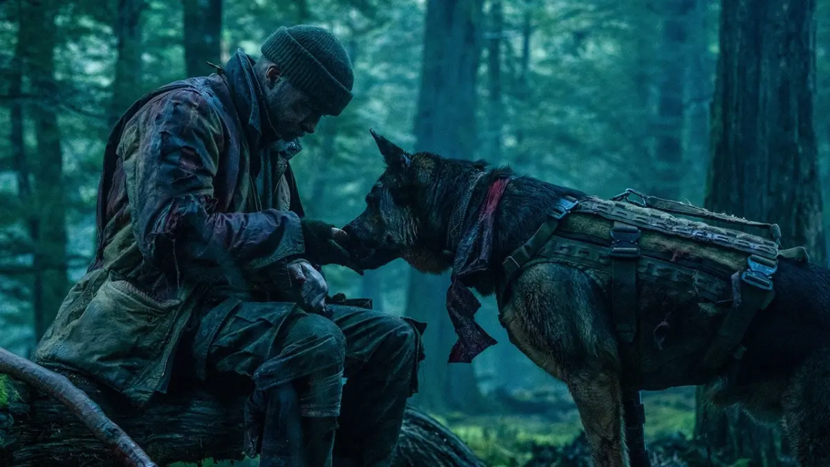 Unleashing Resilience: How Brad Pitt, a Combat-Vet Canine, and Director David Ayer Redefined the Wilderness Survival Genre in Heart of the Beast