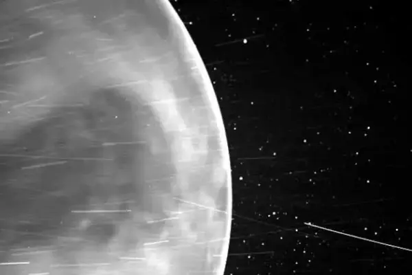 Venus Ate Its Moon: How Planetary Gravity and Sluggish Rotation Consumed a Celestial Satellite