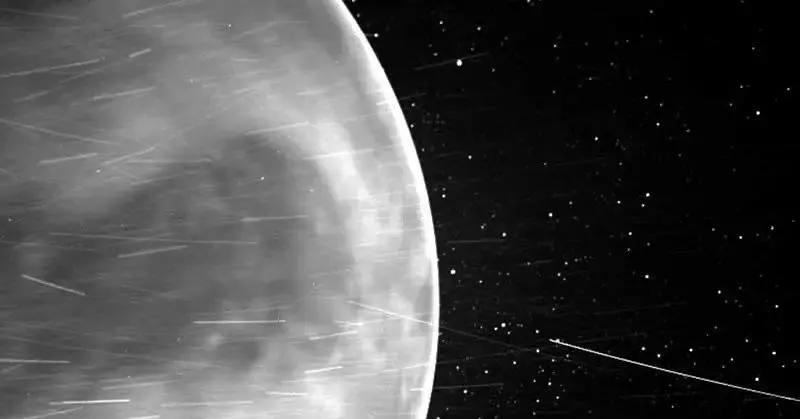 Venus Ate Its Moon: How Planetary Gravity and Sluggish Rotation Consumed a Celestial Satellite