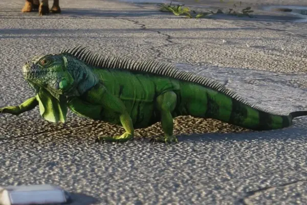 Wild Ecosystems of Leonida: Rockstar Confirms 170 Animal Species in Grand Theft Auto VI