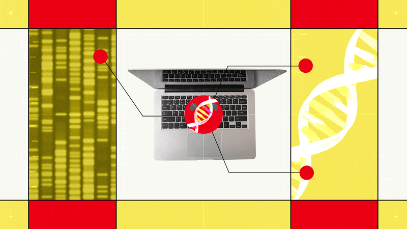 Decoding the Helix: How Hugging Face’s Carbon-X Empowers Anyone to "Chat" With DNA