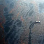 Echoes from the Abyss: New Research Reveals Permanent Collapse and Unprecedented Faunal Decline in the Northern Gulf of Mexico Deep Sea