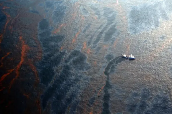 Echoes from the Abyss: New Research Reveals Permanent Collapse and Unprecedented Faunal Decline in the Northern Gulf of Mexico Deep Sea