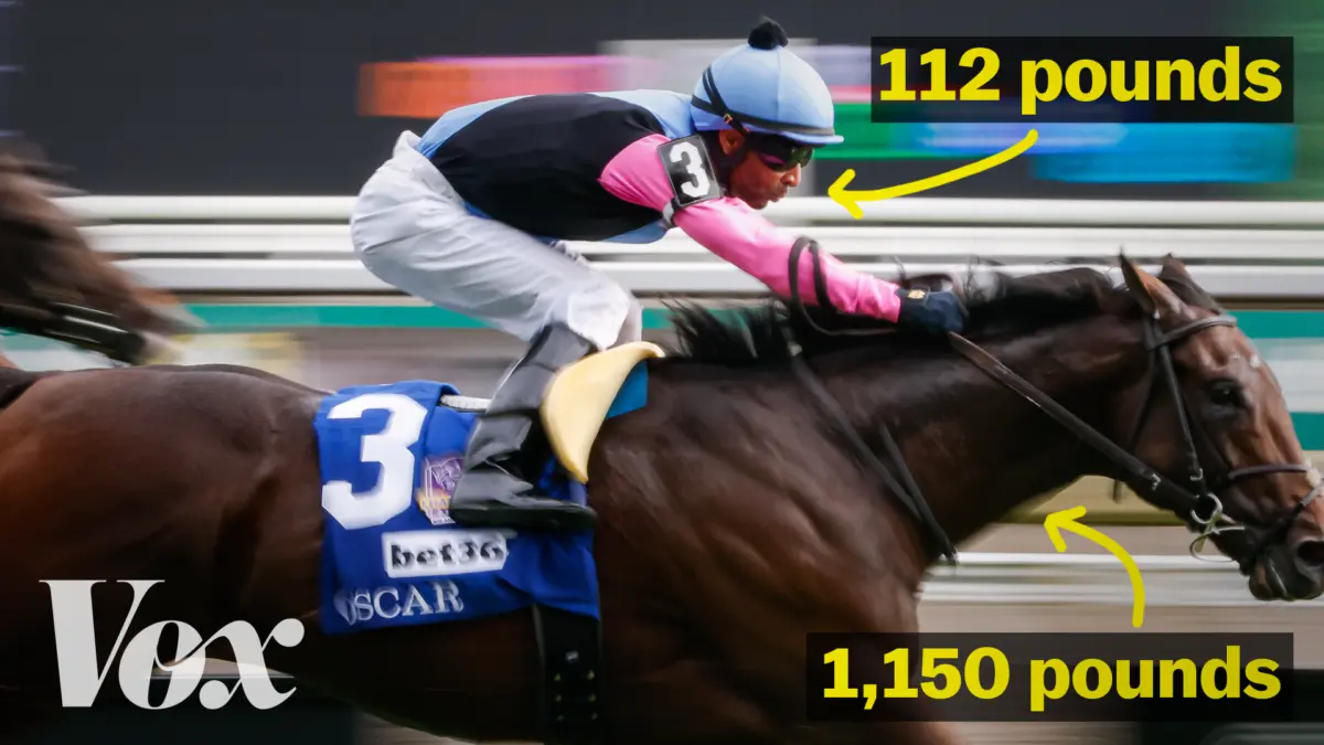 Inside the High-Stakes Quest to Revolutionize Equine and Jockey Safety Through Wearable Tech and Sports Medicine