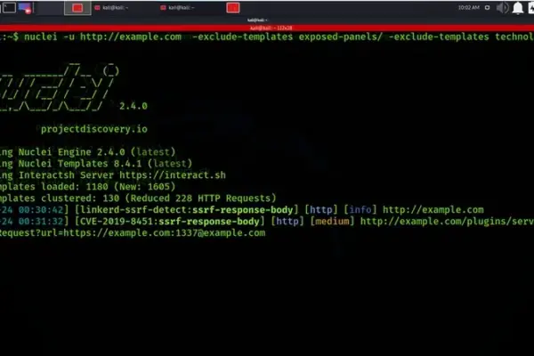 Mastering Vulnerability Assessment: An Exhaustive Guide to 20 Essential Nuclei Commands for Security Professionals