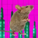 Scalpels and Silicon: How an AI Agent Successfully Performed Brain Surgery on a Living Mouse