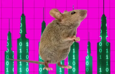 Scalpels and Silicon: How an AI Agent Successfully Performed Brain Surgery on a Living Mouse