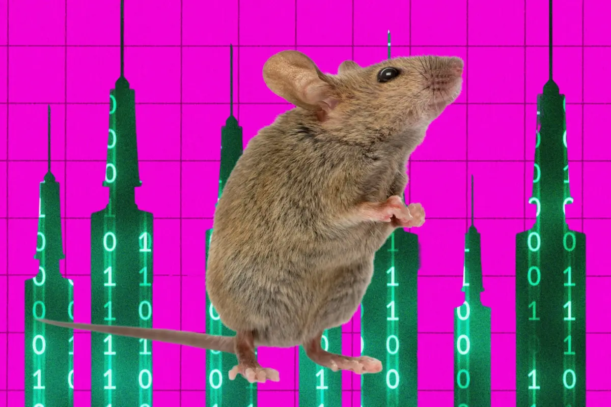 Scalpels and Silicon: How an AI Agent Successfully Performed Brain Surgery on a Living Mouse