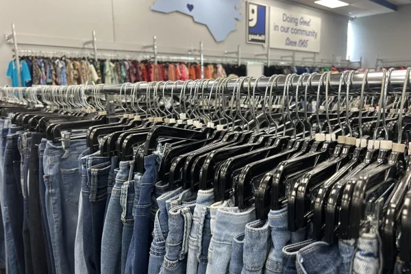 The Algorithmic Wardrobe and the Secondhand Rebellion: How Fast Fashion and Thrifting Collided