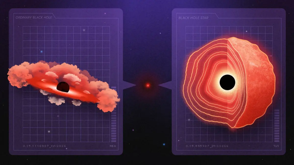 The Cosmic Identity Crisis: Are the James Webb Space Telescope’s "Little Red Dots" Newborn Black Hole Stars?