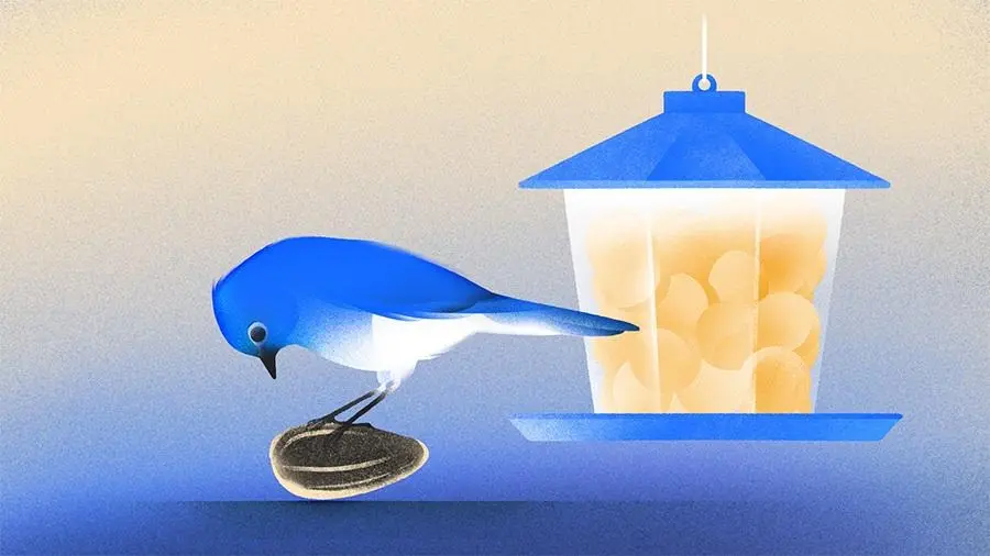 The Great VC Illusion: Why Massive Series A Megarounds Are Masking a Brutal Squeeze on Early-Stage Startups