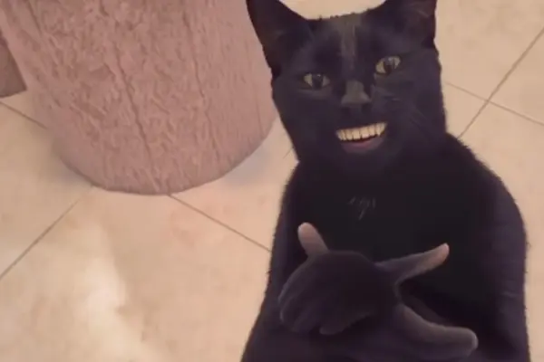 The Rise of the "Black Cat Clapping" Meme: How an AI-Generated Feline Conquered Social Media