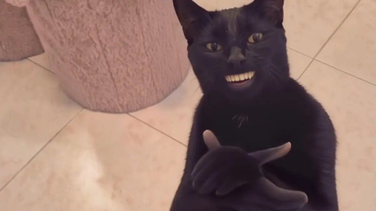 The Rise of the "Black Cat Clapping" Meme: How an AI-Generated Feline Conquered Social Media