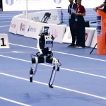The Slapstick Singularity: How Robotic Failures Are Winning Over a Skeptical Humanity