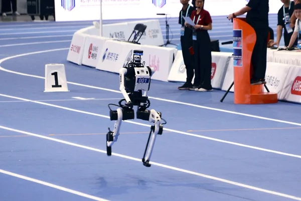 The Slapstick Singularity: How Robotic Failures Are Winning Over a Skeptical Humanity