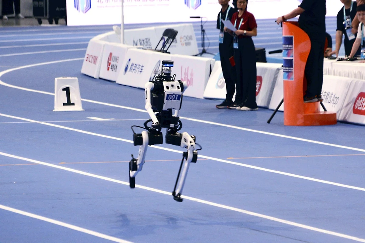 The Slapstick Singularity: How Robotic Failures Are Winning Over a Skeptical Humanity